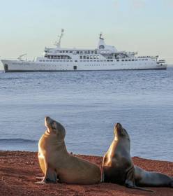 Croisière aux Galapagos