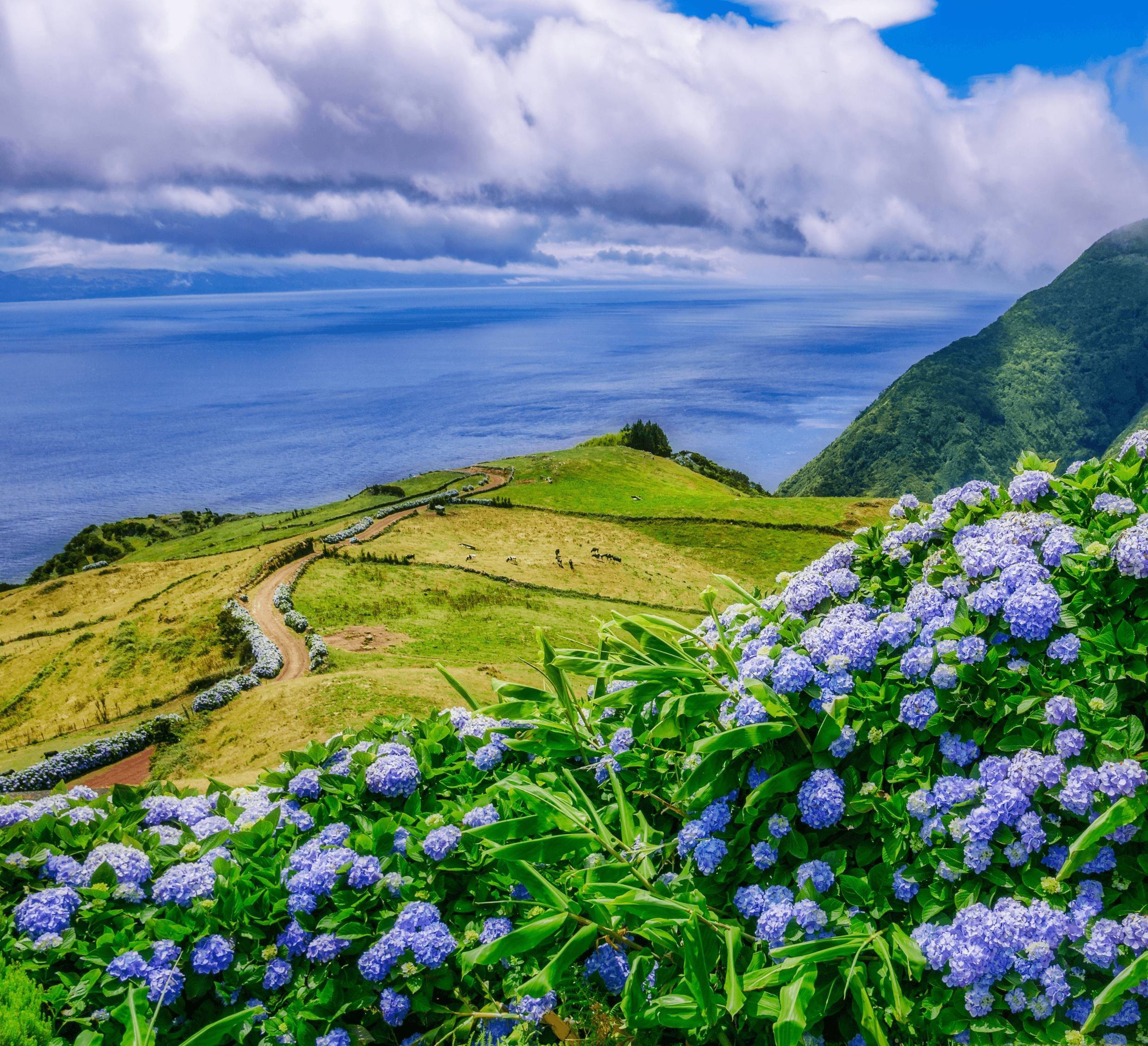 L'essentiel des Açores en 2 iles