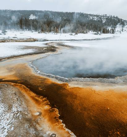 Un Hiver à Yellowstone