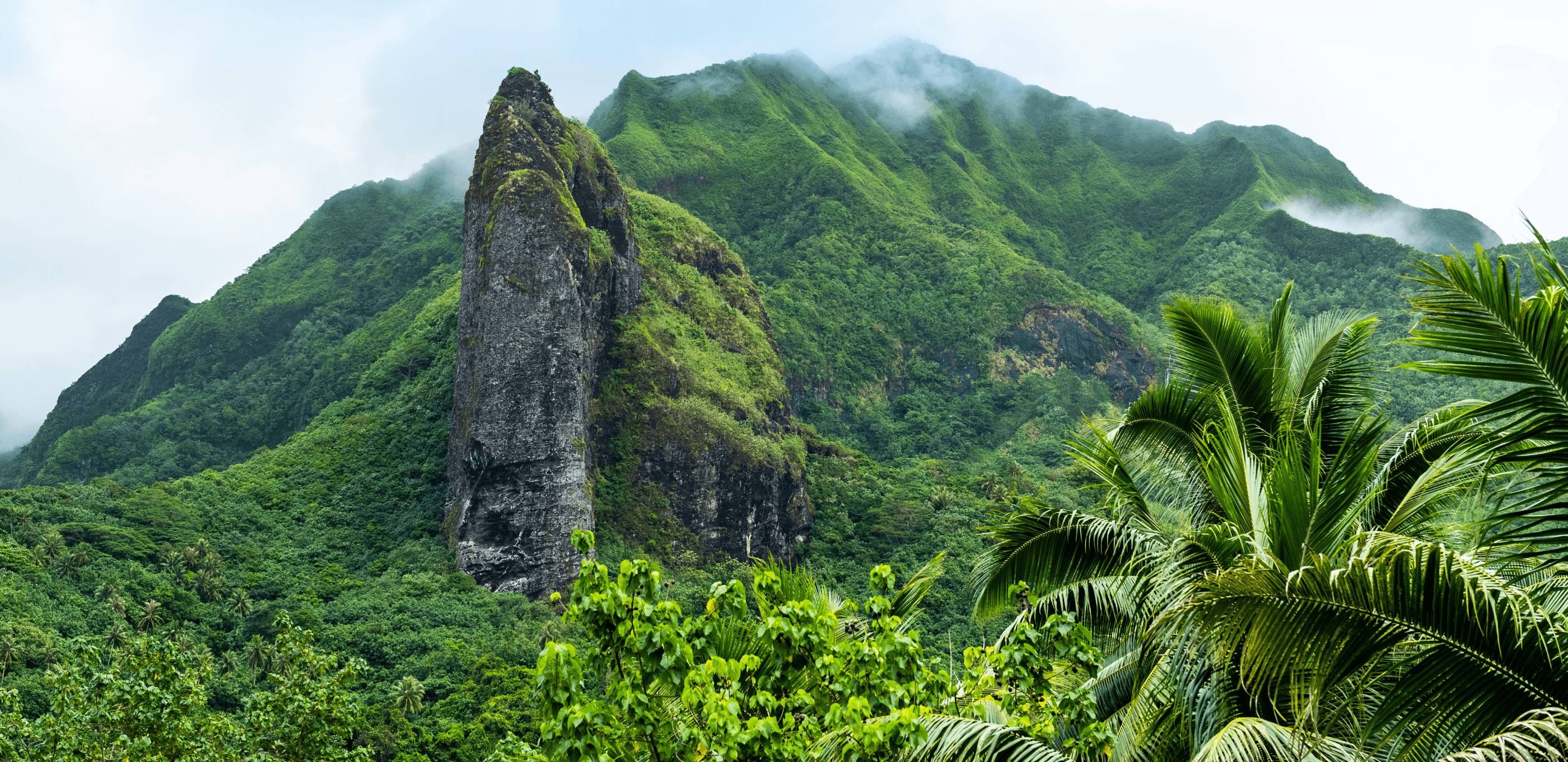 Raiatea, aux origines de la Polynésie