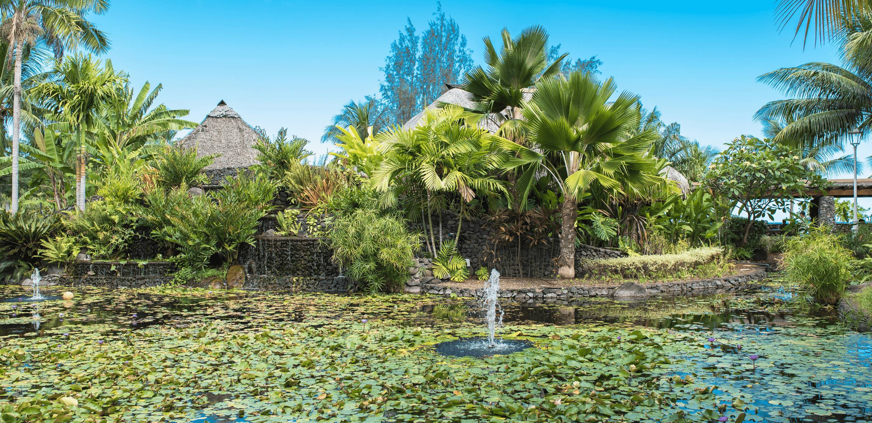 Retour à Tahiti