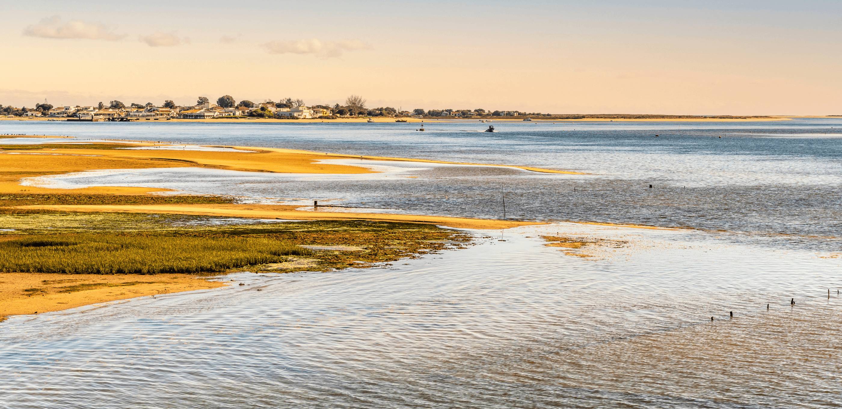 Escapade au cœur de la Ria Formosa et de ses îles préservées 