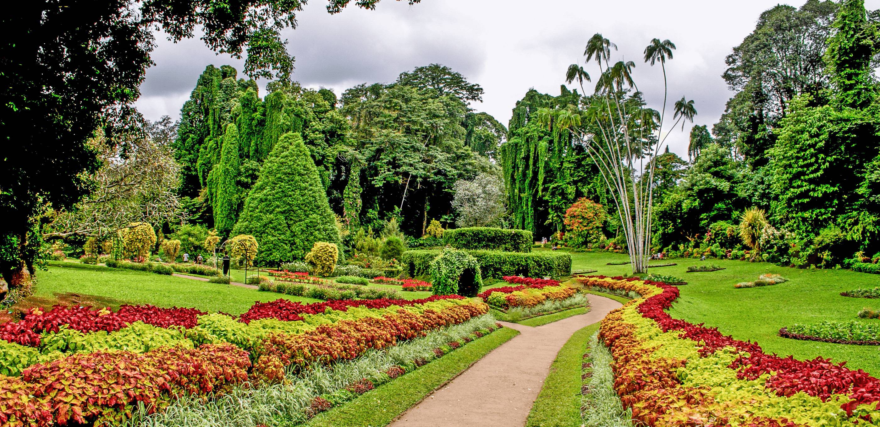 Jardins botaniques de Peradeniya