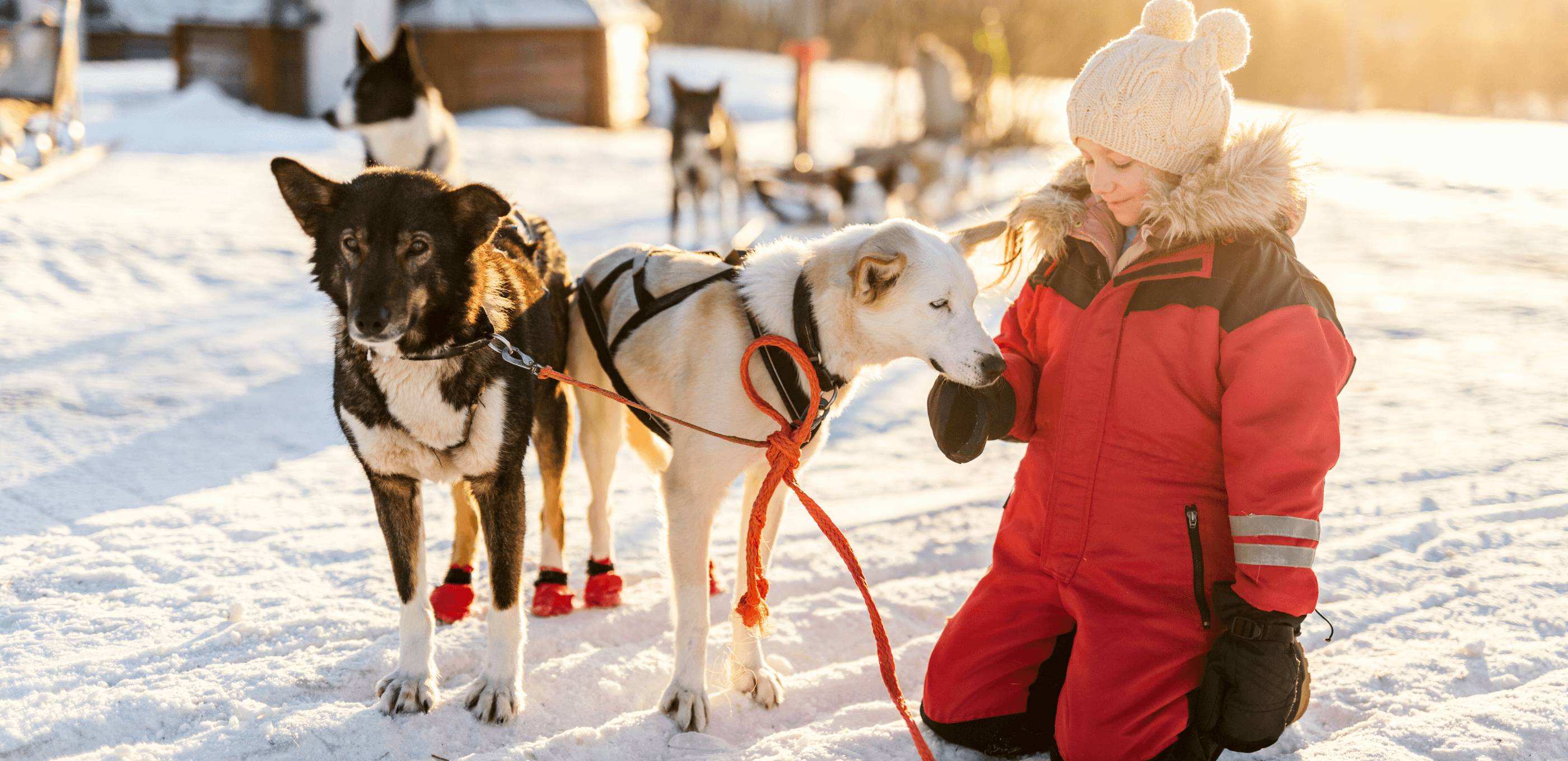 Sur l’élan des pistes blanches