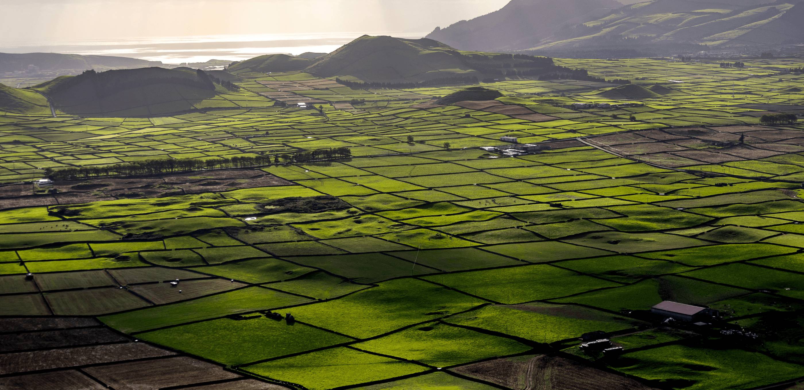 Découverte des paysages côtiers et de Praia da Vitória