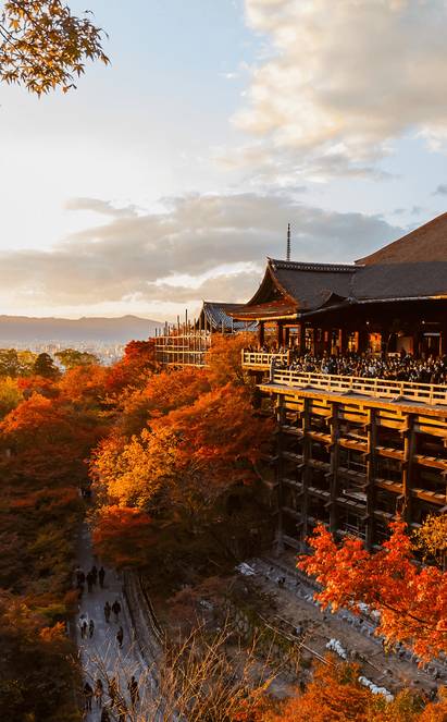 Du Pavillon d’Or aux studios de samouraïs : Kyoto en mode découverte