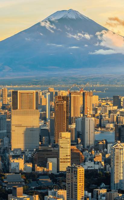 Bienvenue à Tokyo, accueil et première découverte accompagnée à votre rythme