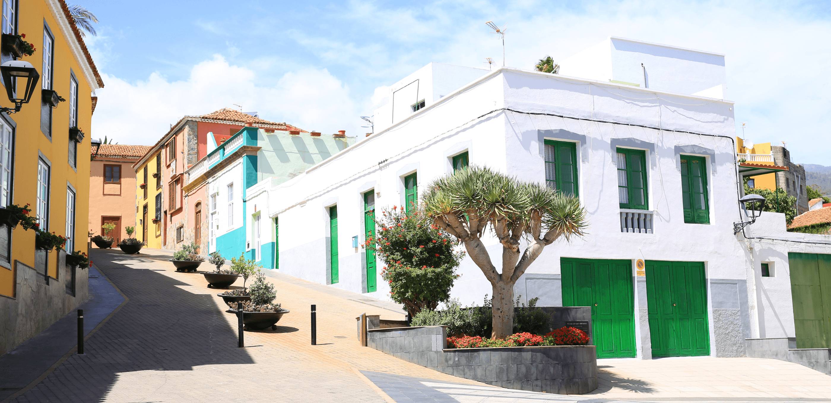 Arrivée à Tenerife Sud & découverte de l’intérieur des terres