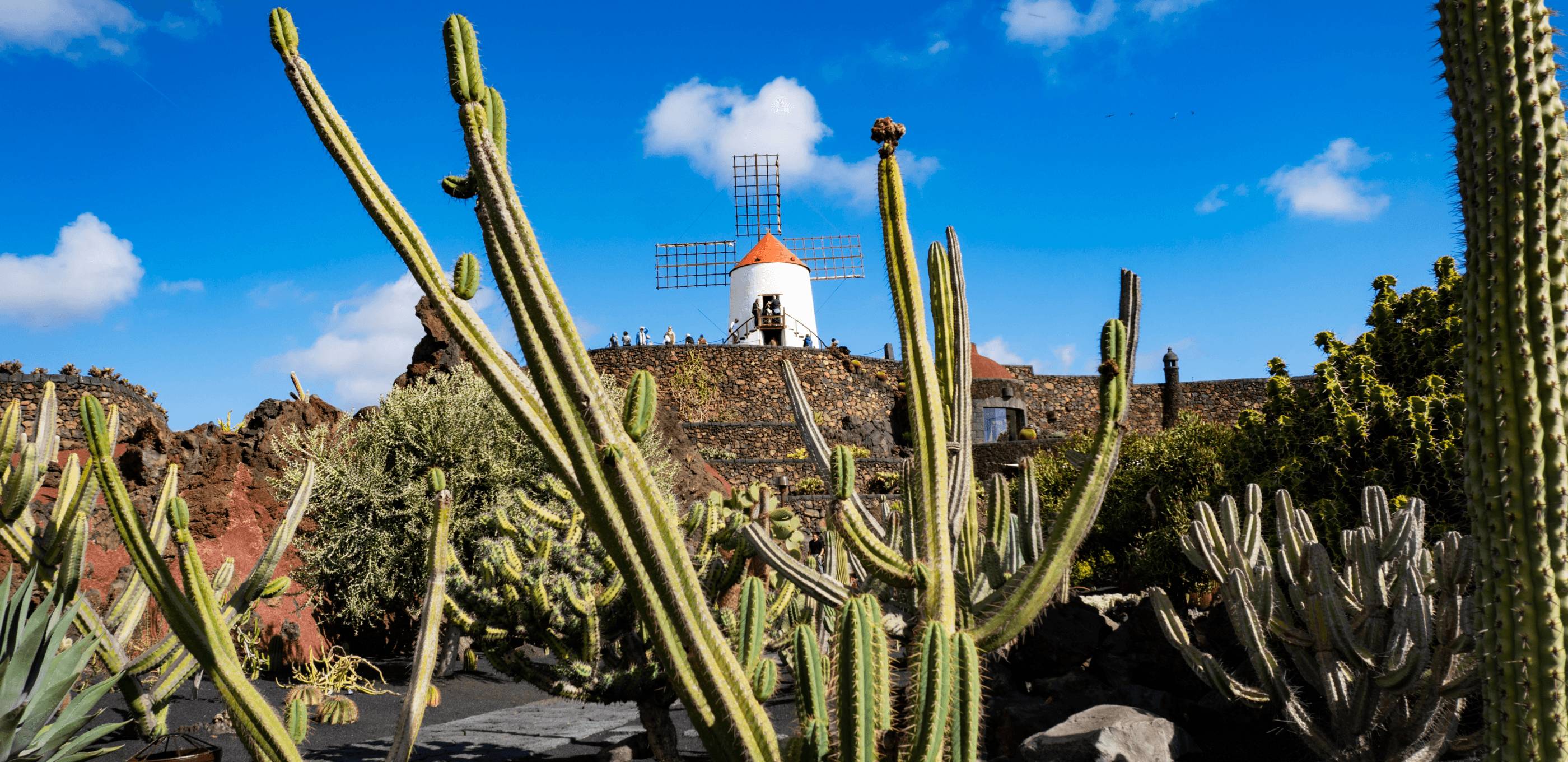 Teguise, César Manrique et jardin de cactus
