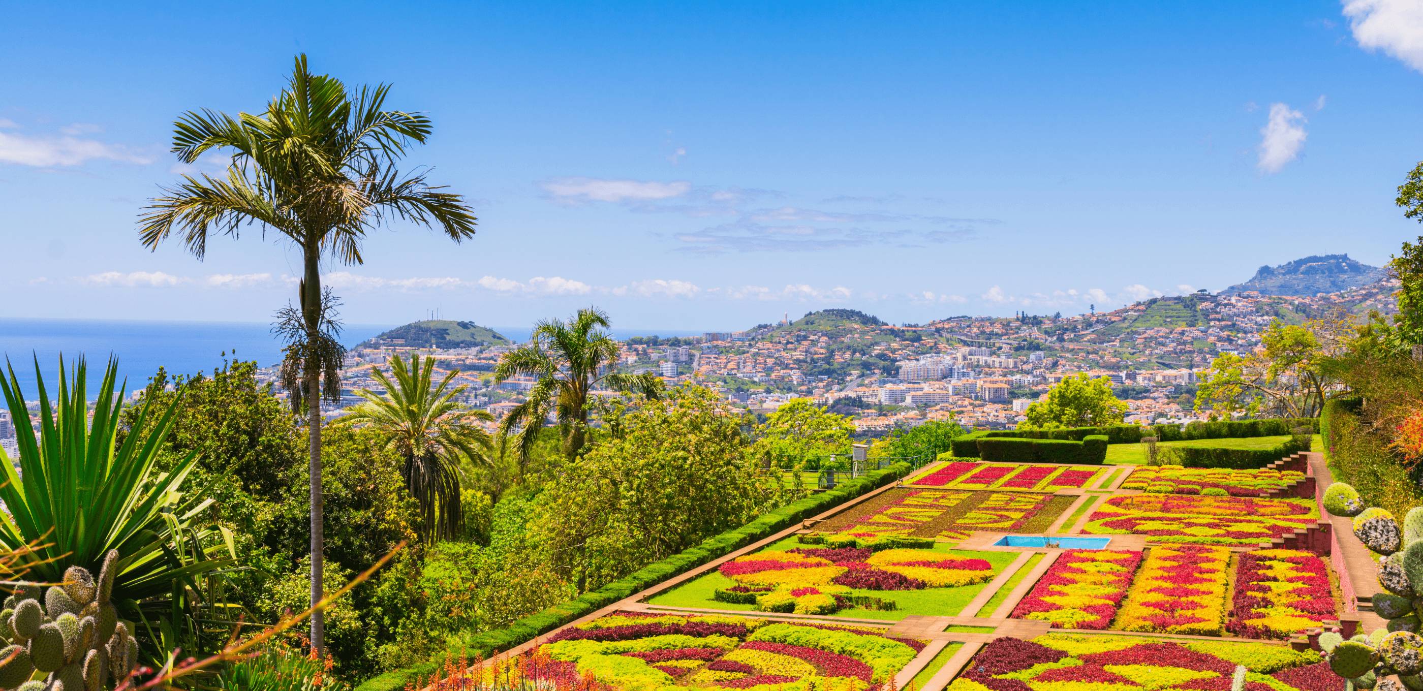 À la découverte de Funchal et de ses trésors !