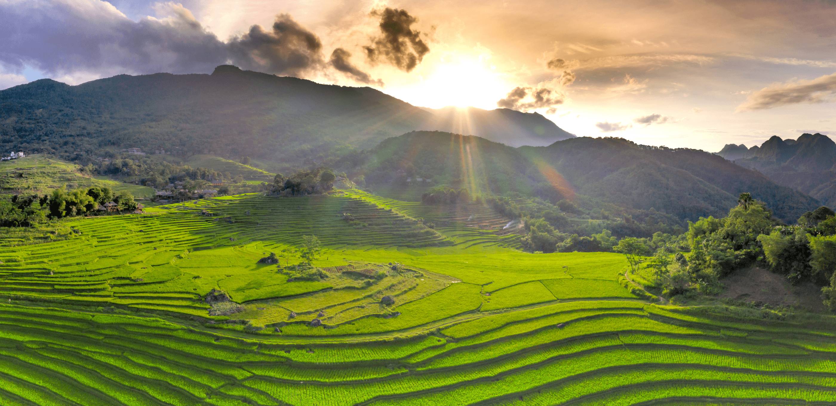 Mai Chau et Mai Hich : immersion dans les rizières