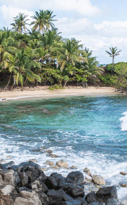 Adieux ensoleillés à la Petite Île du Maïs