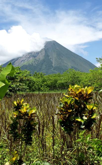 Ometepe, nature sauvage entre Concepción et Maderas