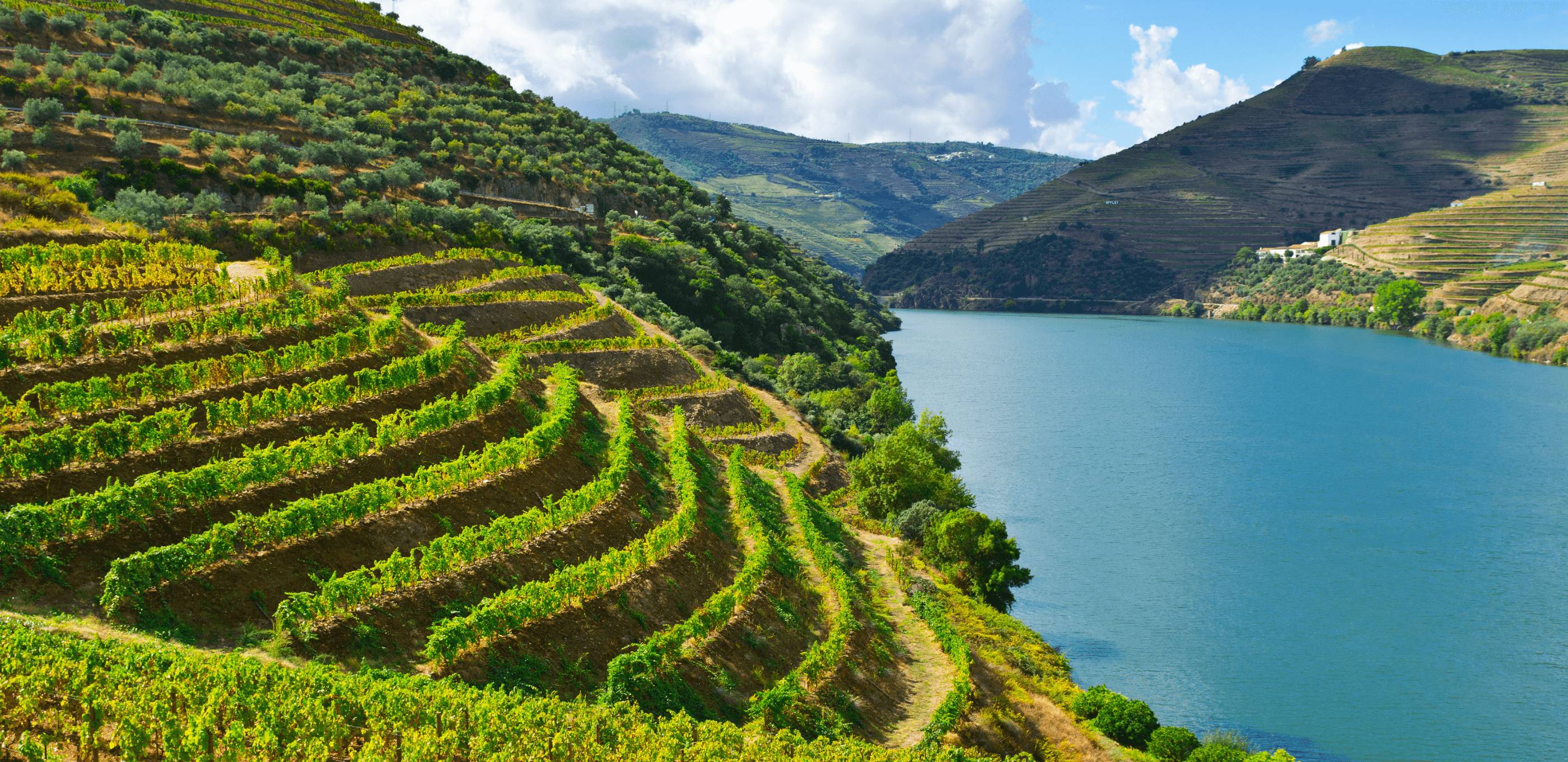 Cap sur la vallée du Douro