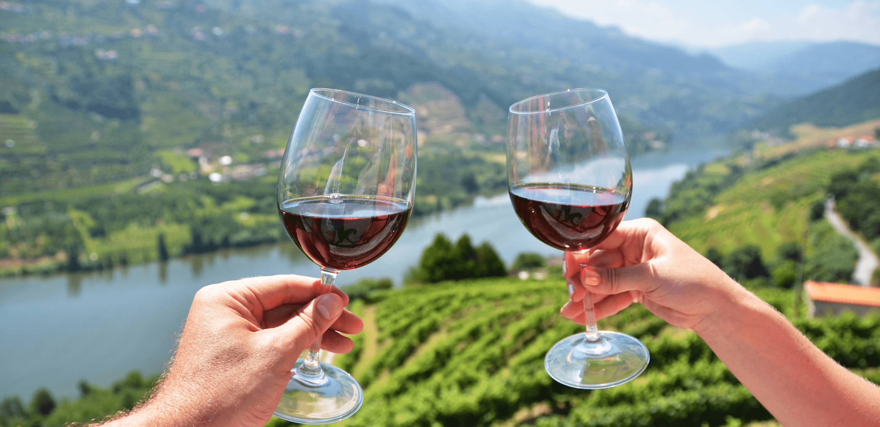 Douro en douceur : croisière, vignobles et dégustation