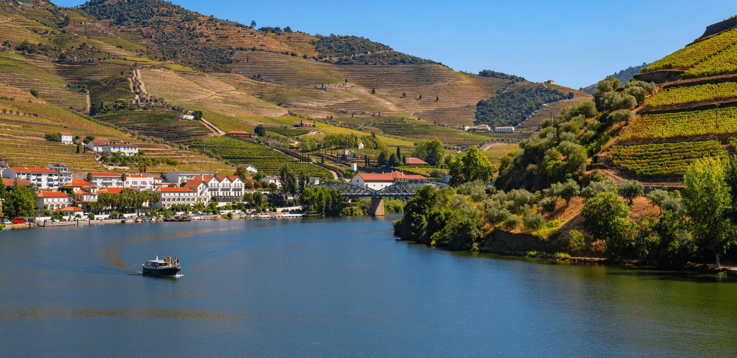 Balade au cœur des vignes du Douro