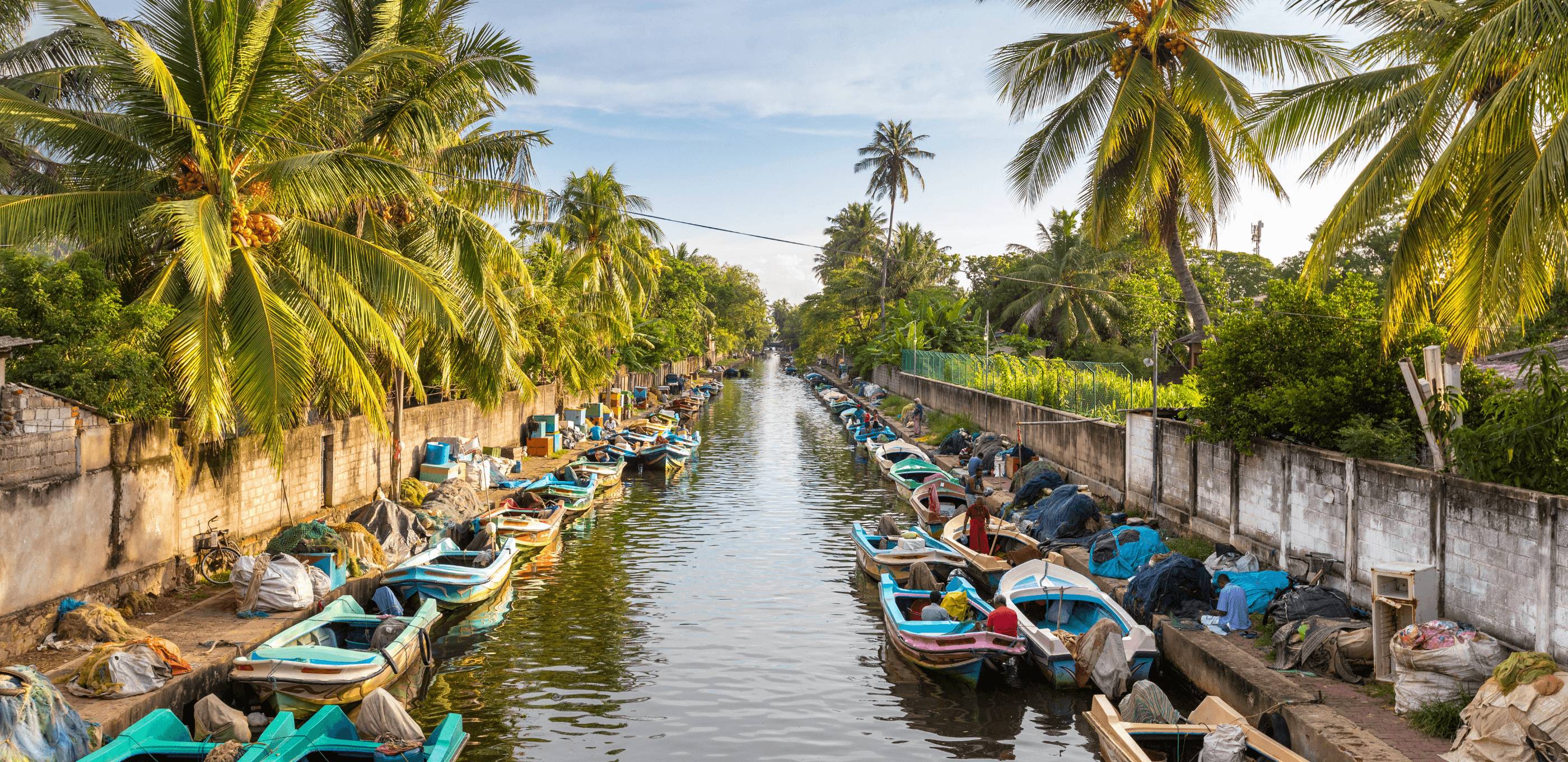 Premiers pas sur le rivage de Negombo