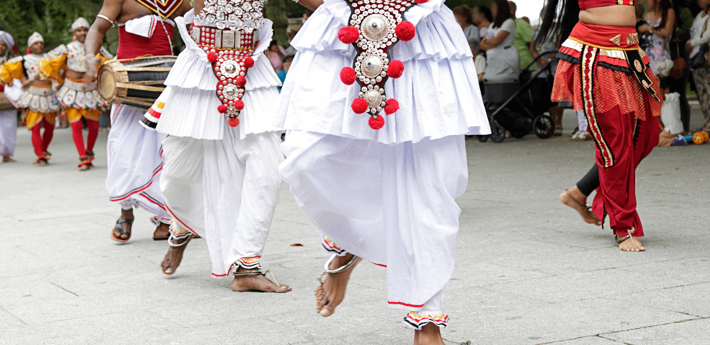 Immersion dans la culture rurale