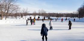 Montréal au rythme de l'hiver