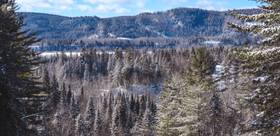Derniers instants au Québec