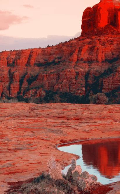 Au cœur des roches rouges de Sedona