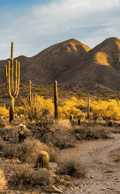Dernière escale à Scottsdale