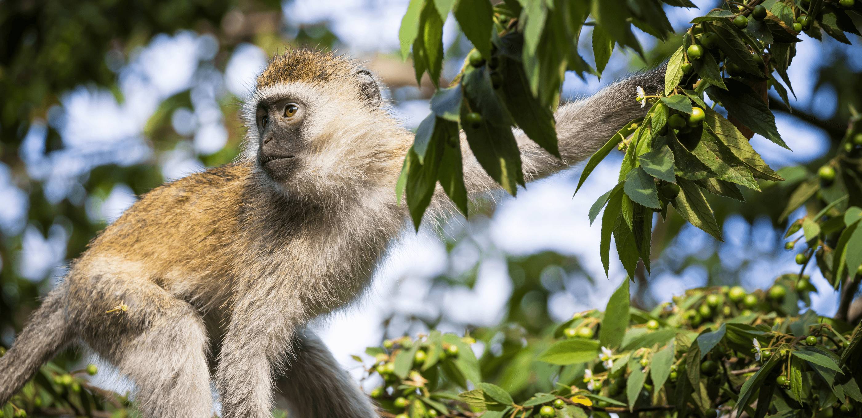 Premiers instants en Tanzanie et immersion familiale en lodge