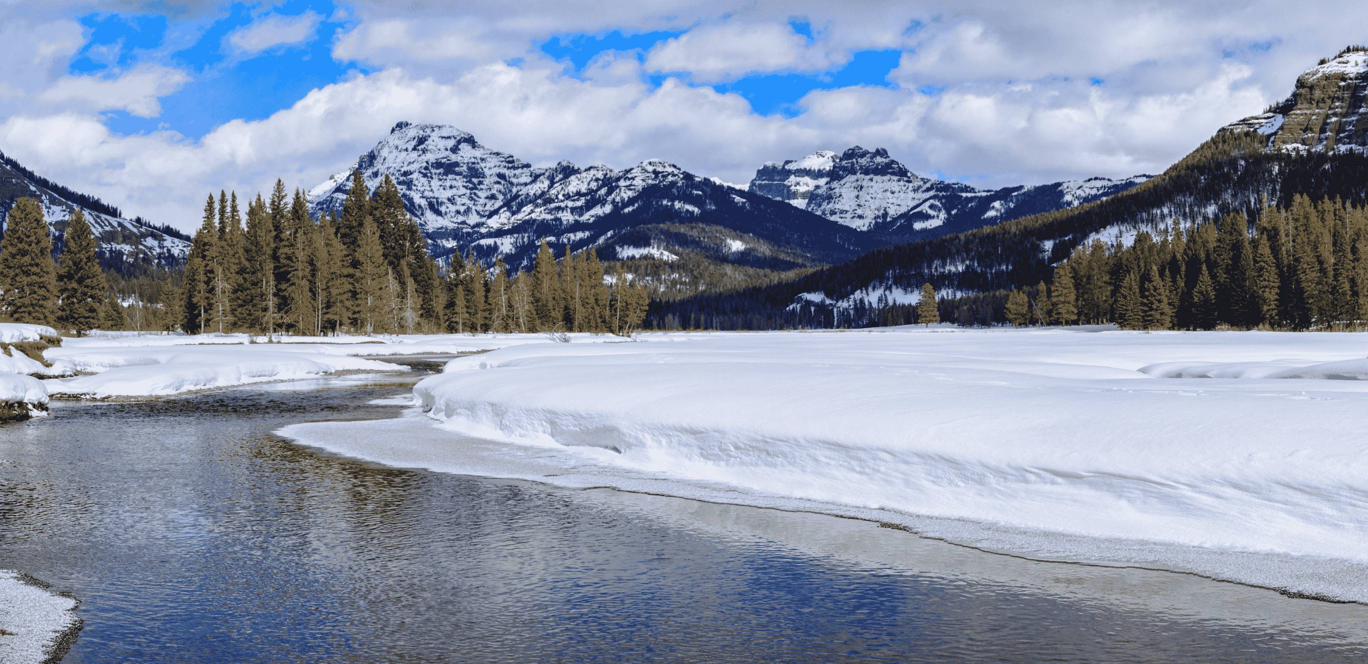 Paysages féériques : Fumeroles, Geysers et l'incroyable survie des Bisons dans Yellowstone