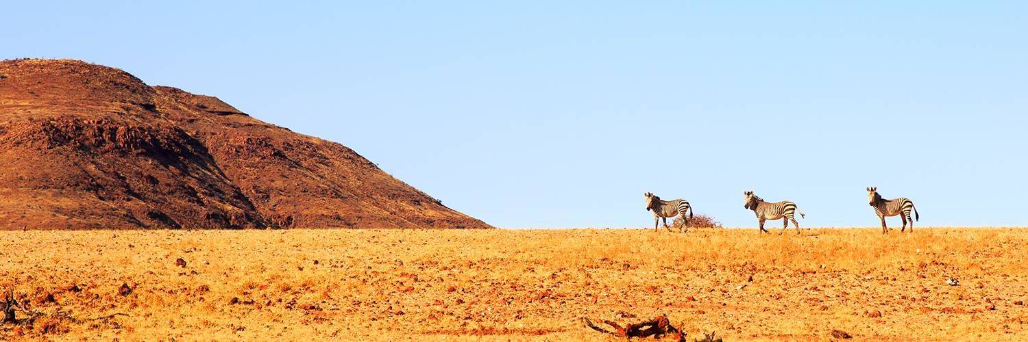 4X4 dans le Damaraland