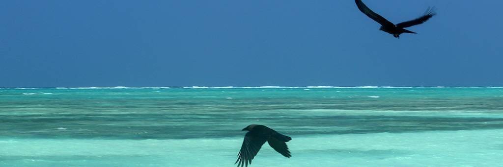 Amani Beach