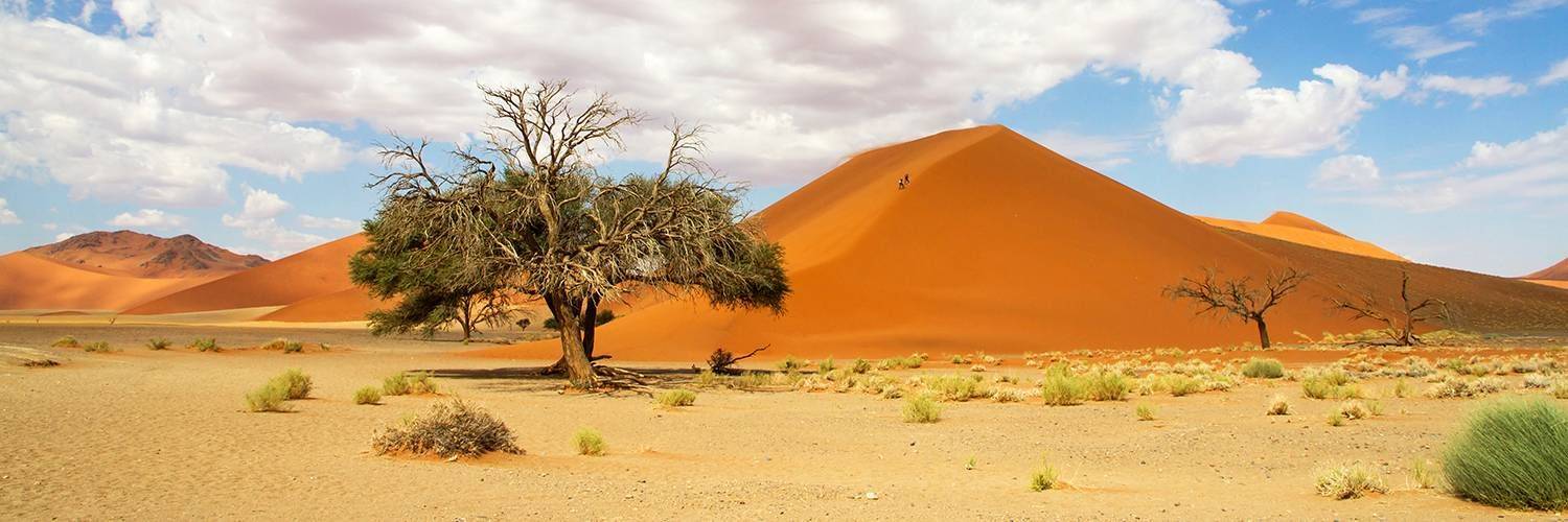 Ascension d'une dune de Sossusvlei