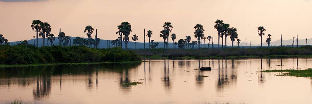 Au fil de la Rufiji River