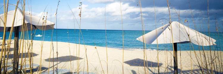 Aventure et détente à Saddleback cay