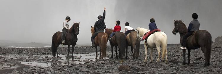 Balade à cheval à Skagafjörður