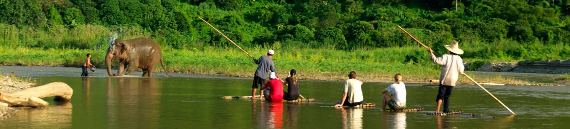 Balade à dos d'éléphants au Laos
