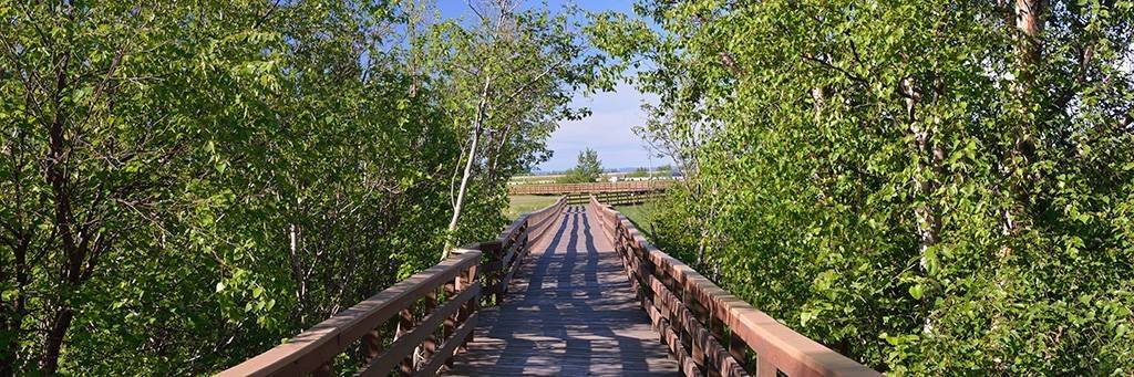 Balade à vélo à Anchorage
