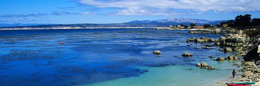 Balade en kayak à Monterey