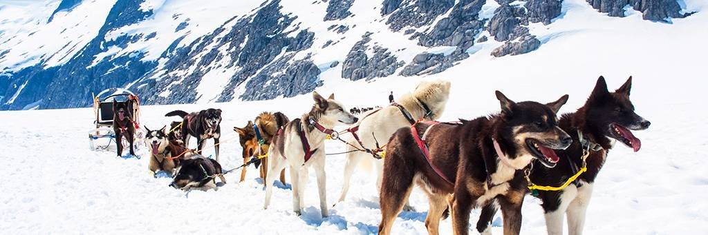 Balade en traineau à chiens en Alaska