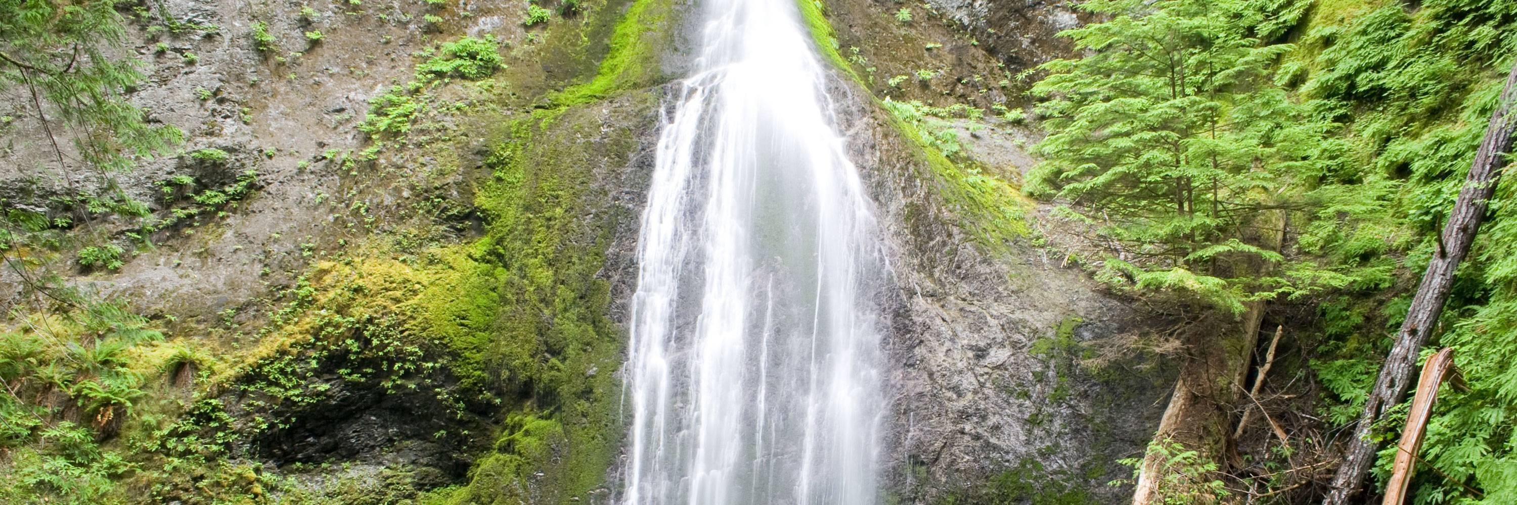 balade vers les chutes de Marymere