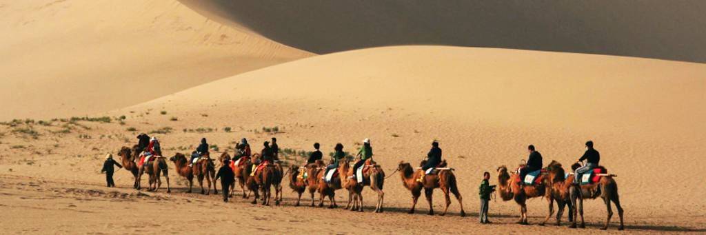 Balade sur les dunes