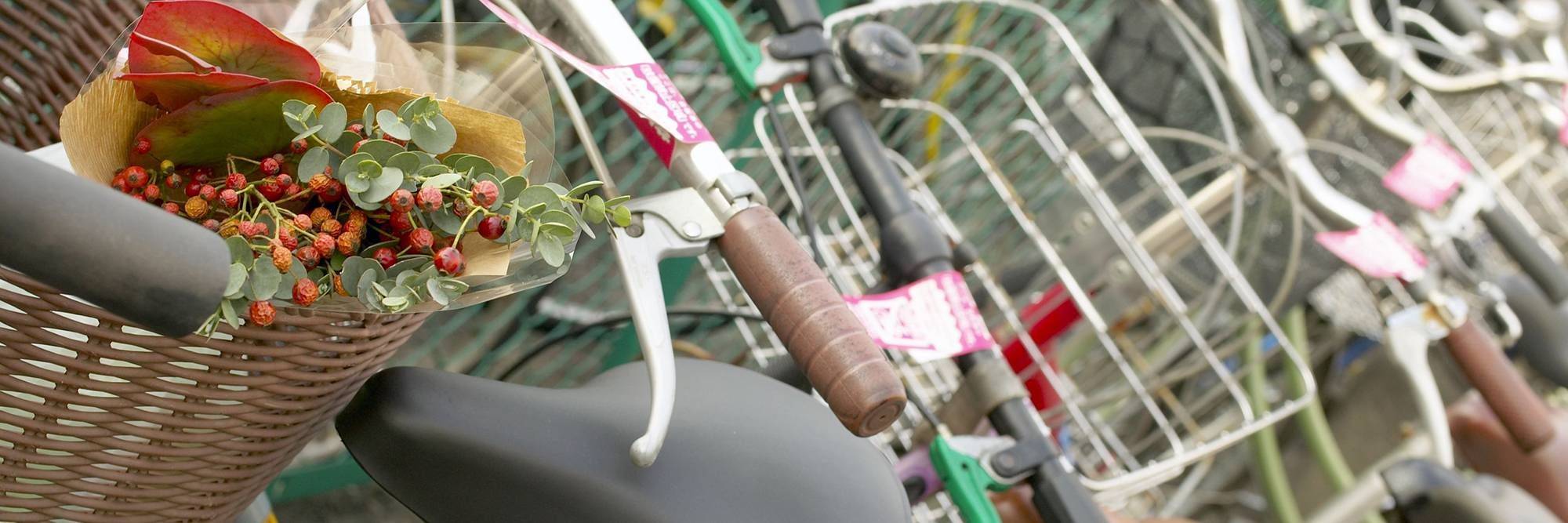 Location d'une bicyclette à Kyoto