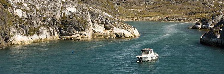 Croisière dans la baie de Breidafjördur