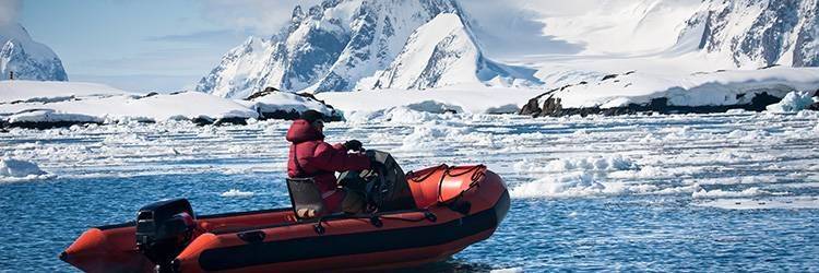 Croisière jusqu'au glacier Apusiajik