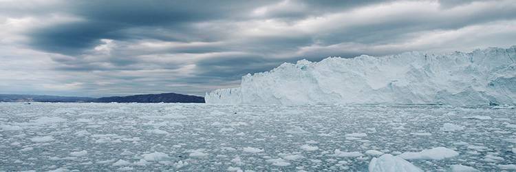 Croisière jusqu'au glacier Eqi