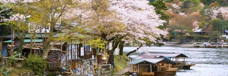 Croisière sur la rivière Kumano-Gawa
