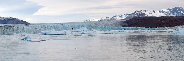 Croisière sur le Lago Argentino
