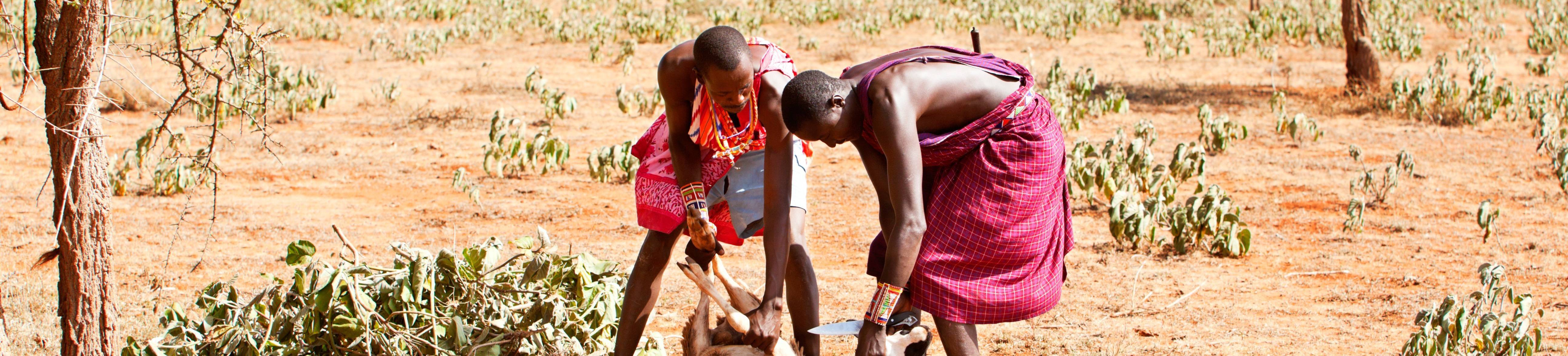 Découverte de la culture Masai autour d'une fête en votre honneur