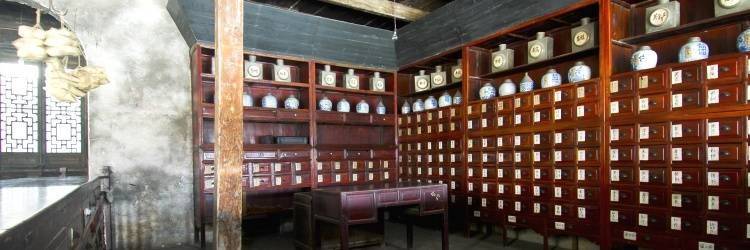 Découverte de la Médecine Traditionnelle