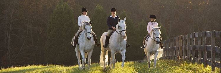 Equitation