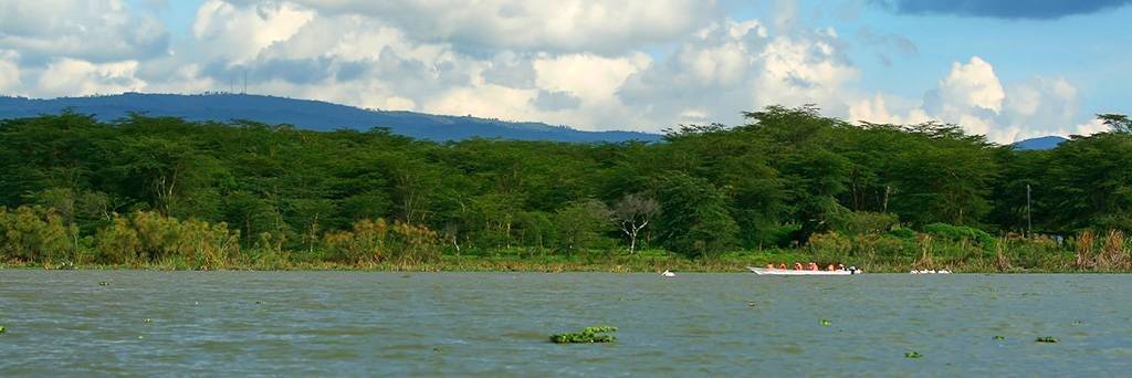 Excursion en bateau jusque Crescent Island